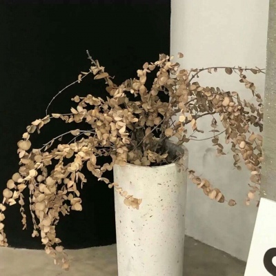 Furry绘画改稿技巧福瑞交流群